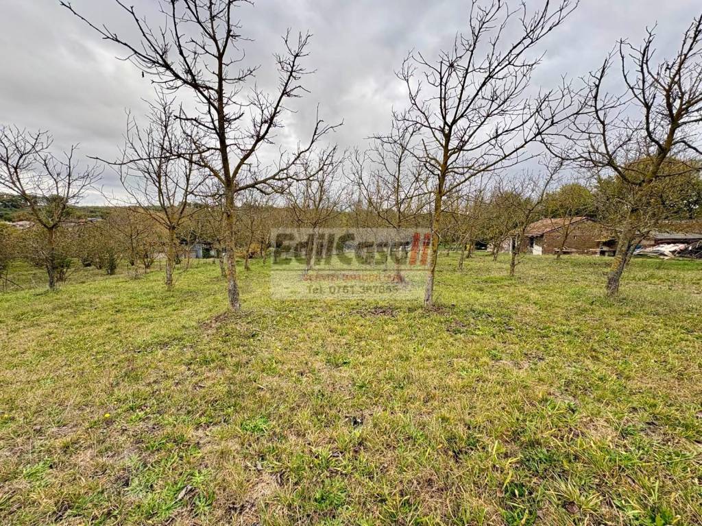 Terreno a Soriano nel cimino in Via Vittorio Emanuele II - Foto 3