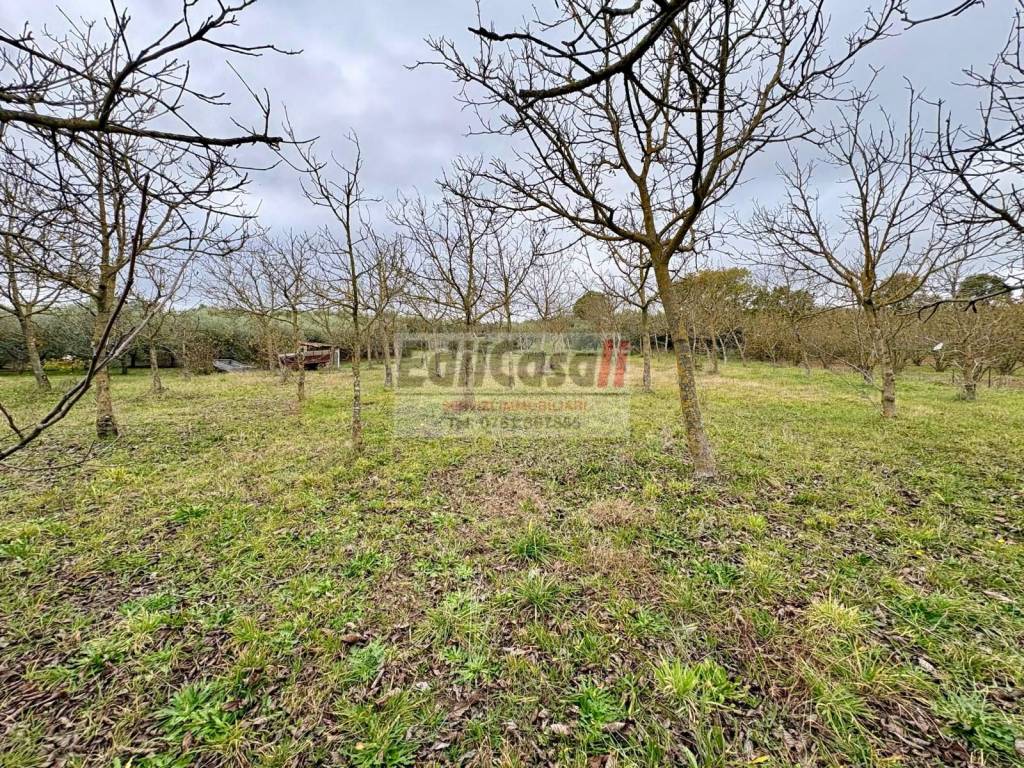 Terreno a Soriano nel cimino in Via Vittorio Emanuele II - Foto 5