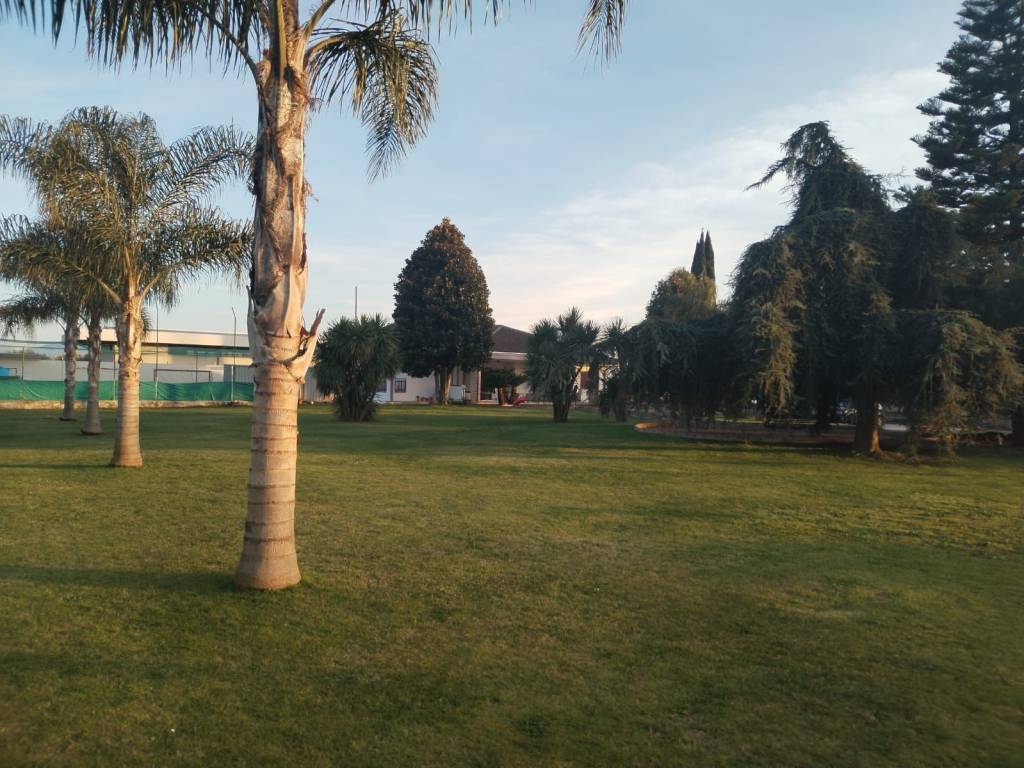 Villa a Cisterna di latina - Foto 5