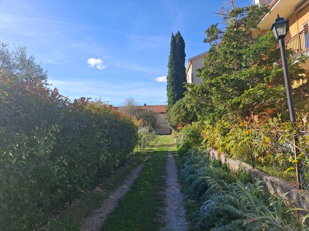 Terreno a San dorligo della valle - dolina in Frazione Domio, 173 - Foto 3