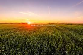 Terreno a Montelabbate in Via Risara - Foto 4