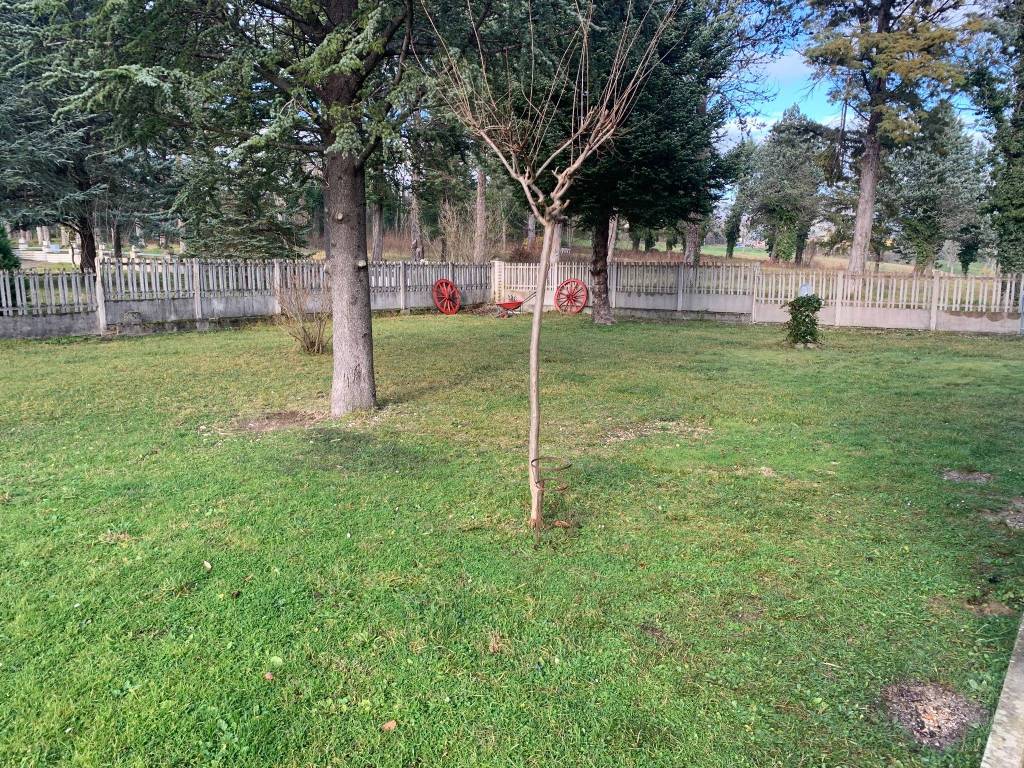 Appartamento a Sassoferrato in Località Piano Frass. - Foto 5