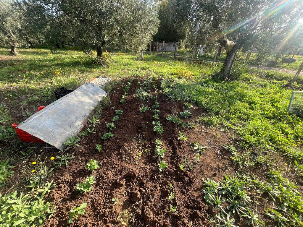 Terreno a Lanuvio in Via del Moscato - Foto 4