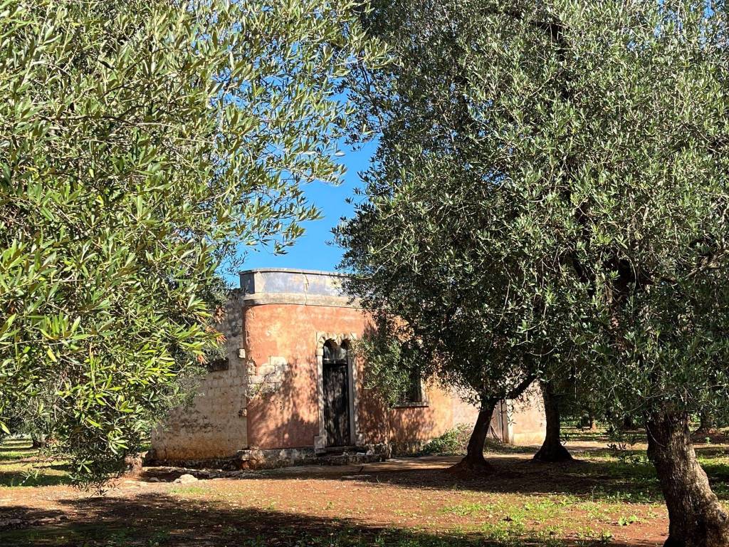 Rustico / casale a Ceglie messapica in SS581 - Foto 3