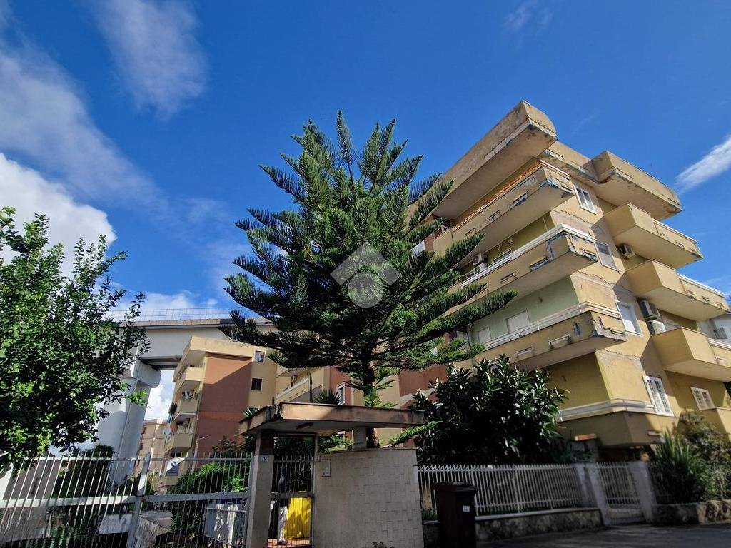 Appartamento a Frattamaggiore in Traversa Carditello, 22 - Foto 3