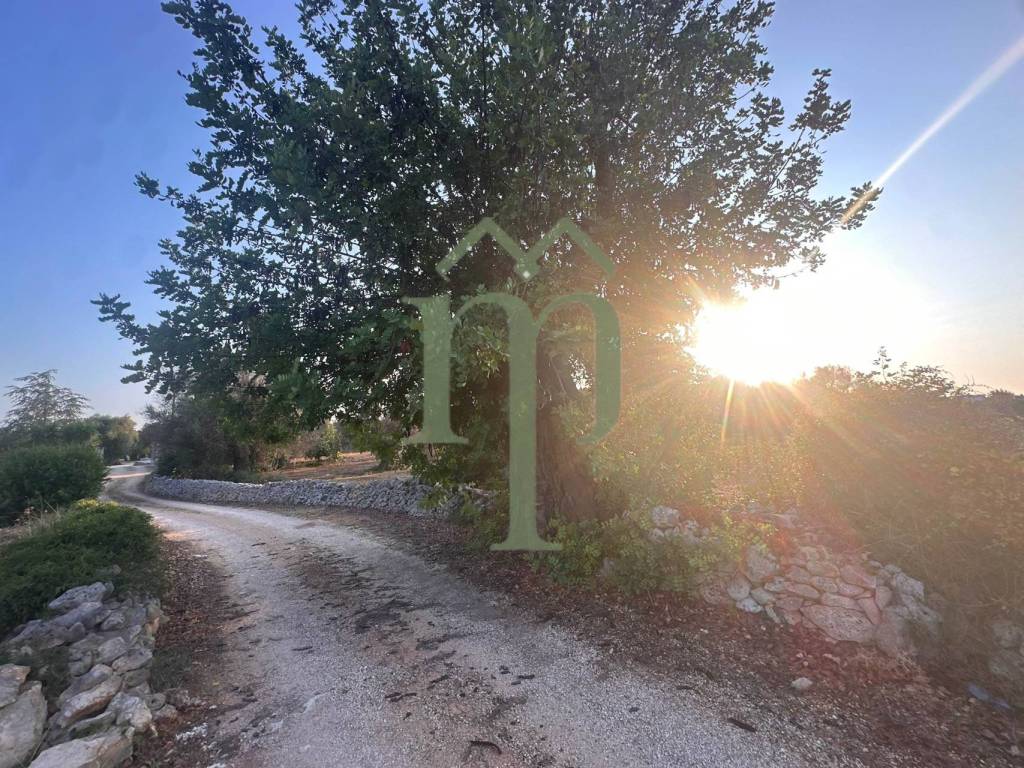 Terreno a Carovigno - Foto 2