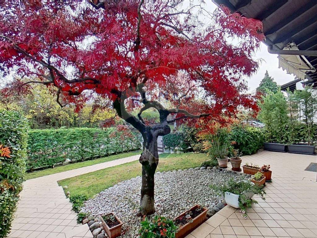 Villetta a schiera a Cavaria con premezzo in VIA FERMI, 780 - Foto 2