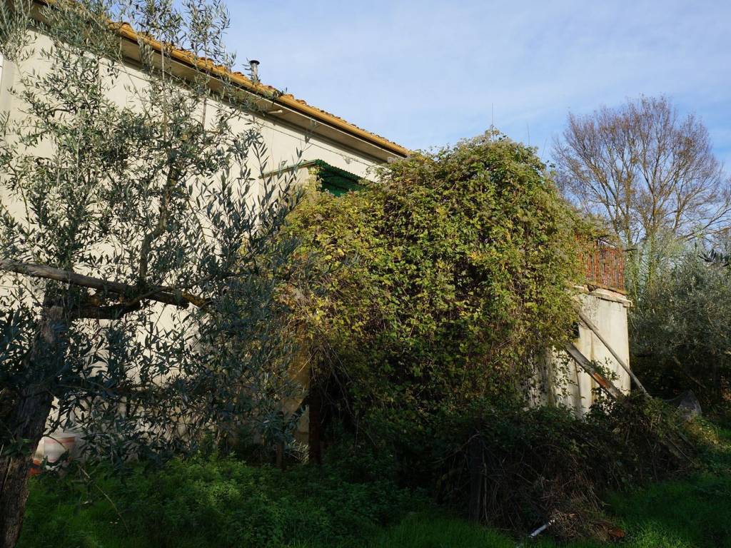 Rustico / casale a Montevarchi - Foto 5