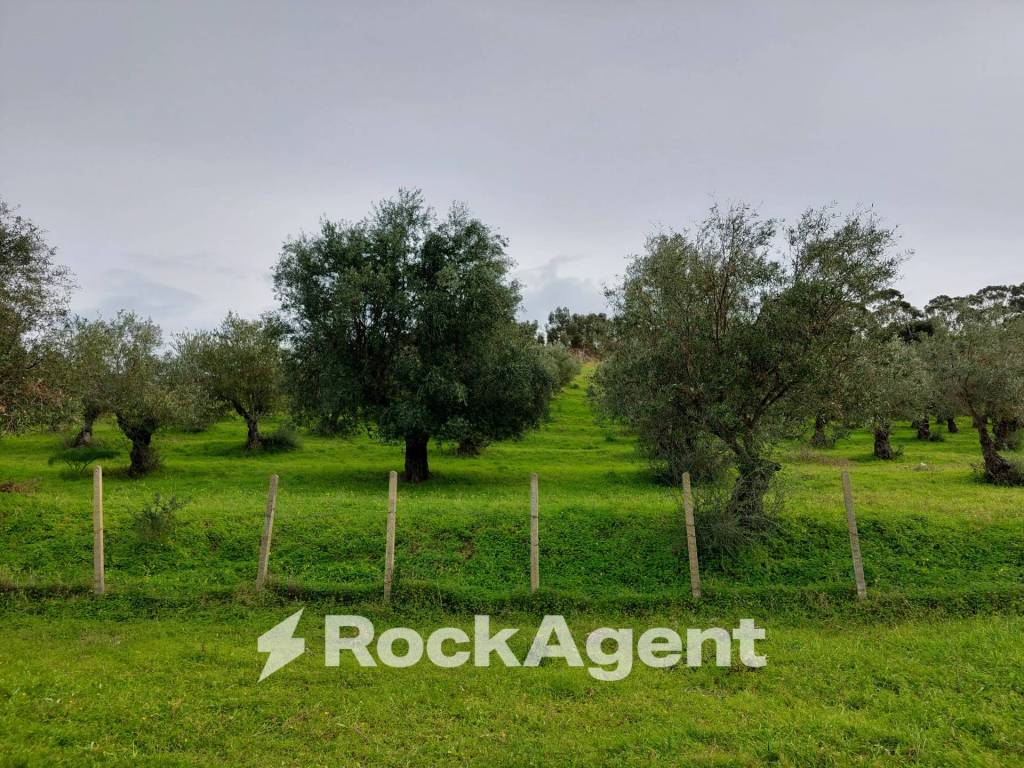 Terreno a Crotone in Strada Statale 107 Silana Crotonese - Foto 4