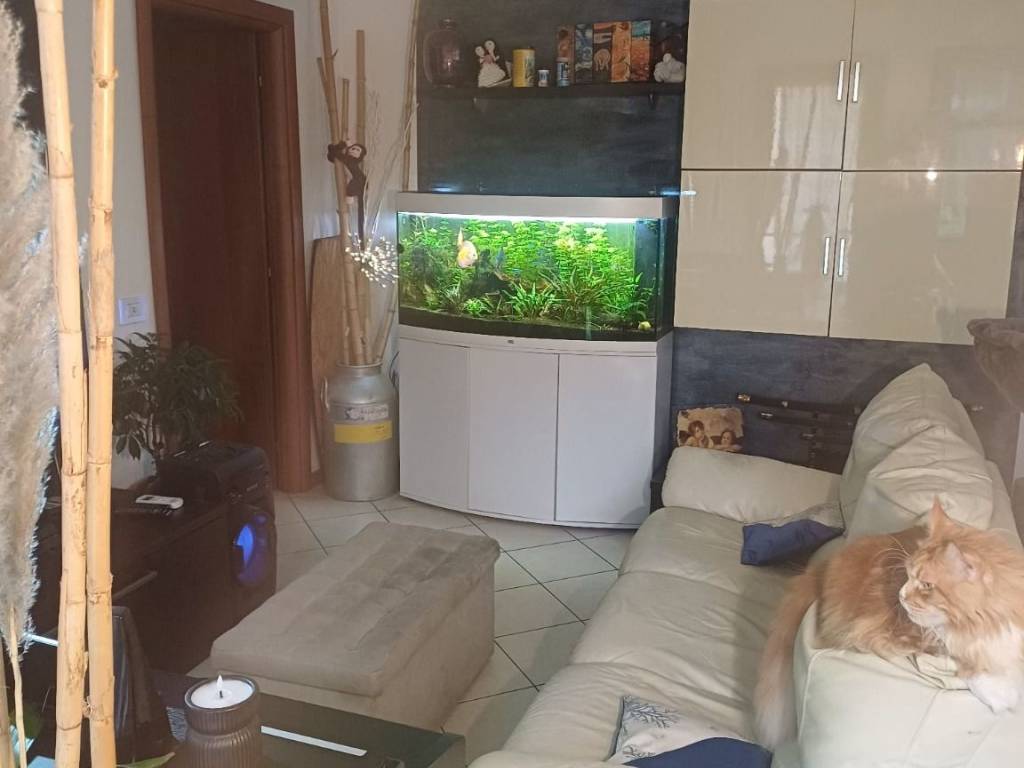 Appartamento a Verona in Via Giovanni Scudeler - Foto 4