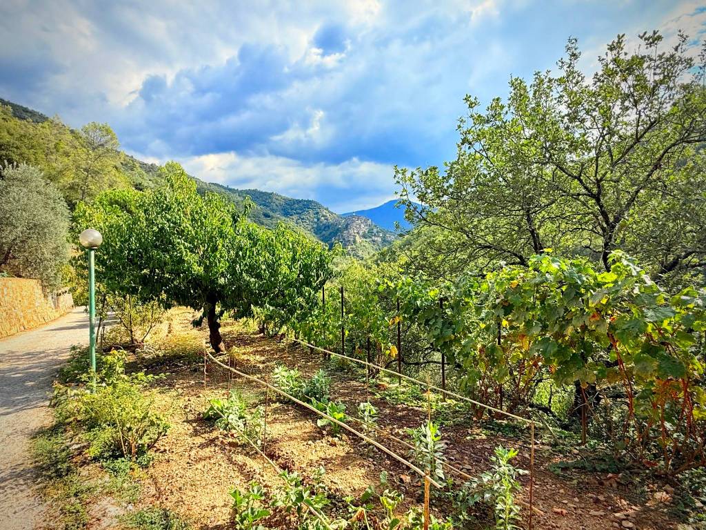 Villa a Apricale in SP63 - Foto 5