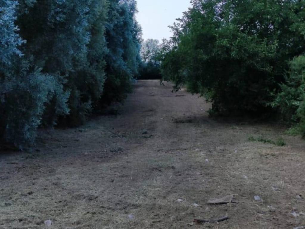 Rustico / casale a Este in via Comuna 18 - Foto 3