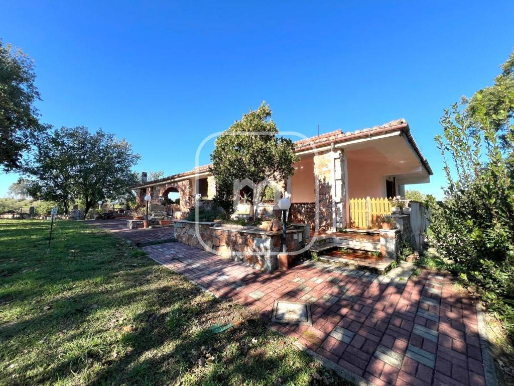 Villa a Faleria in LOCALITà MONTE DI COLONNA - Foto 5