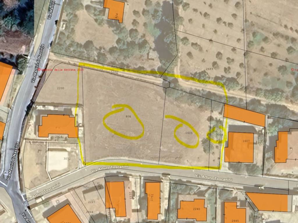 immagine di copertina