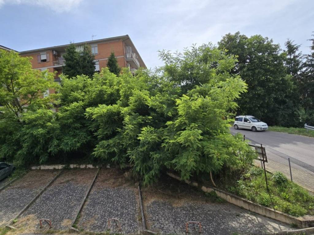 Appartamento a Montepulciano in Via Iris Origo - Foto 2