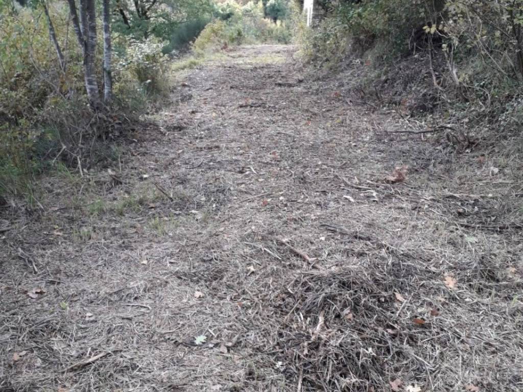 Casa indipendente a Arcevia in Prosano - Foto 5