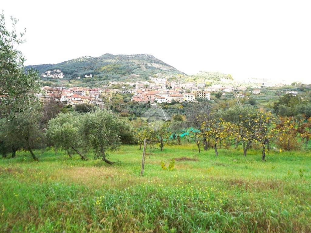 Terreno a Montecorvino rovella in Contrada Pezze - Foto 2