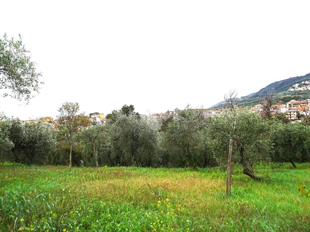 Terreno a Montecorvino rovella in Contrada Pezze - Foto 3