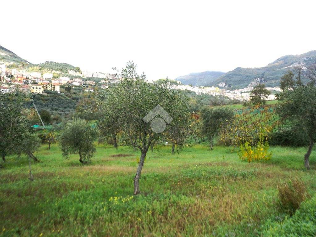 Terreno a Montecorvino rovella in Contrada Pezze - Foto 4