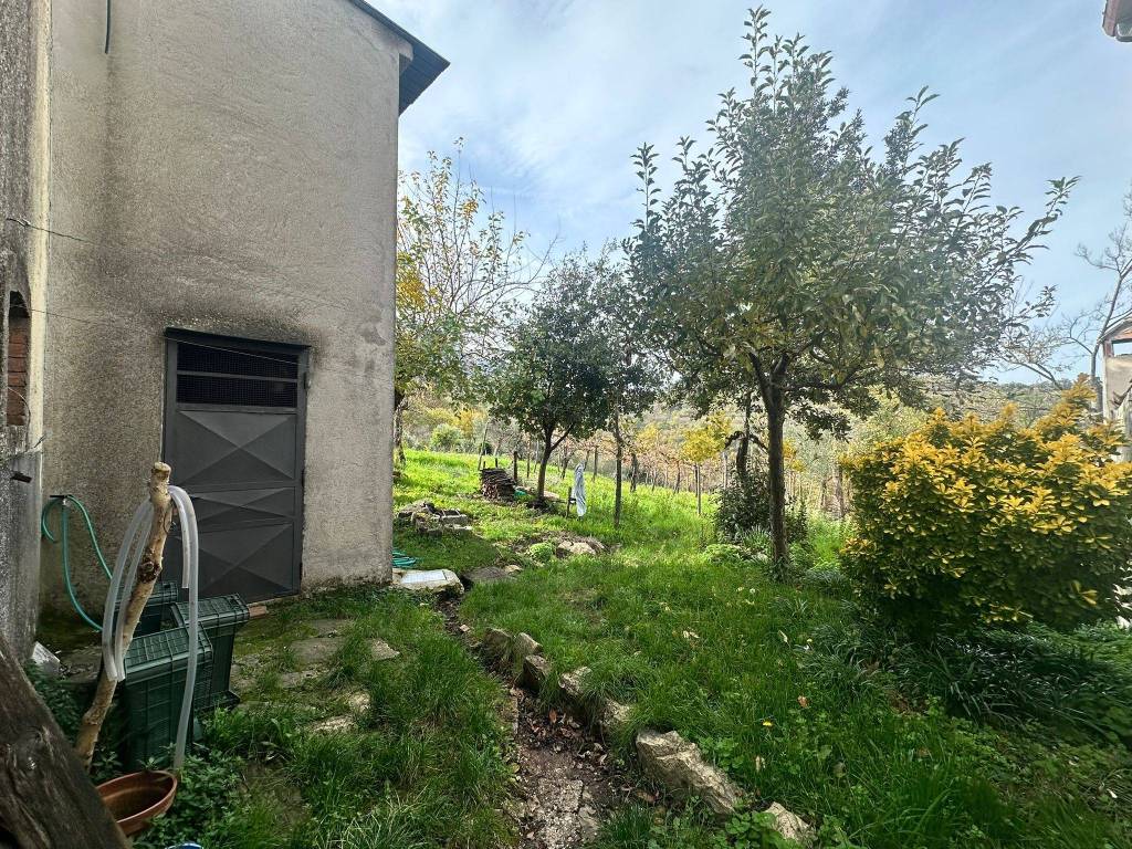 Rustico / casale a Castelvetere sul calore in Via Tremauriello, 9 - Foto 5