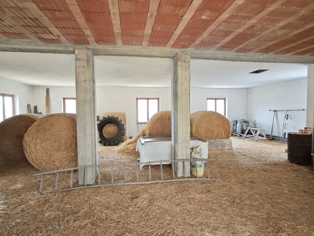 Rustico / casale a Cantalupo ligure in Località Prato - Foto 4