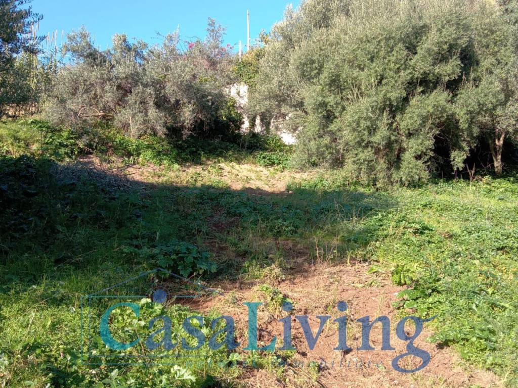 Terreno a Monreale in Via Circonvallazione, 114 - Foto 5