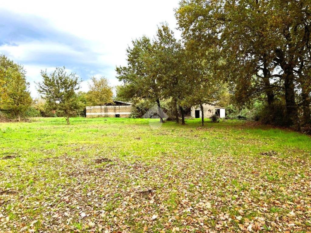 Rustico / casale a Sutri in Localita' Sant' Anna - Foto 3