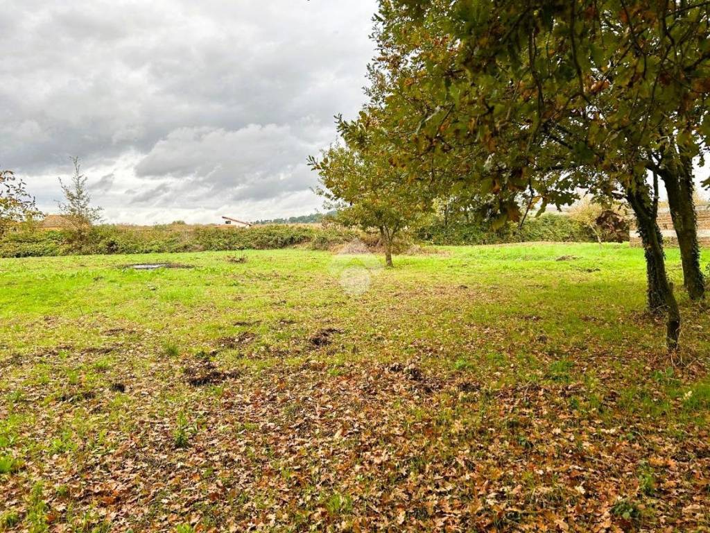 Rustico / casale a Sutri in Localita' Sant' Anna - Foto 4