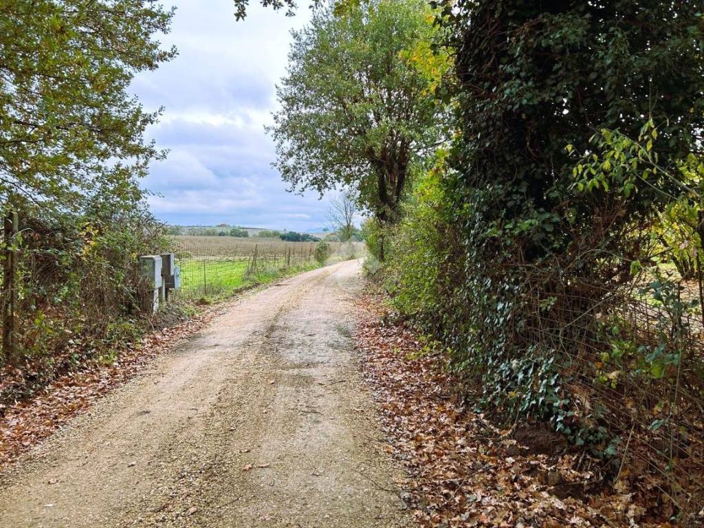 Rustico / casale a Sutri in Localita' Sant' Anna - Foto 5