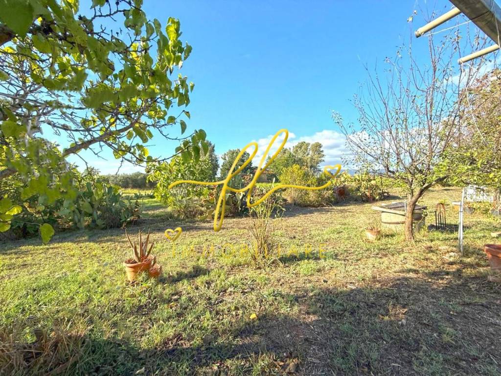 Terreno a Cecina - Foto 2