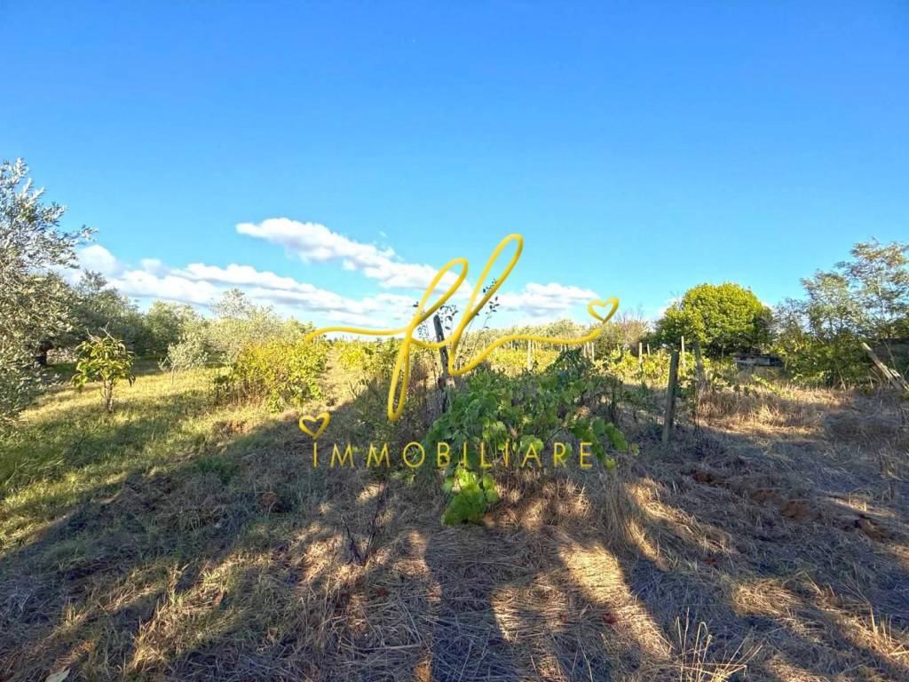 Terreno a Cecina - Foto 4