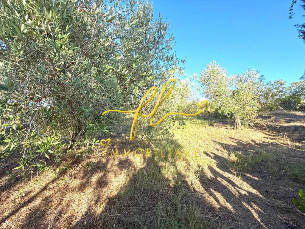 Terreno a Cecina - Foto 5