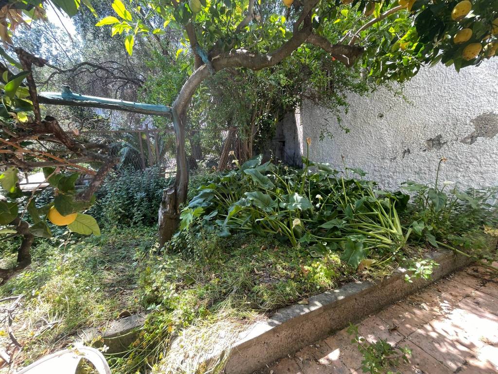 Immobile a Forio in Via Cardinale Luigi Lavitrano, 9 - Foto 4