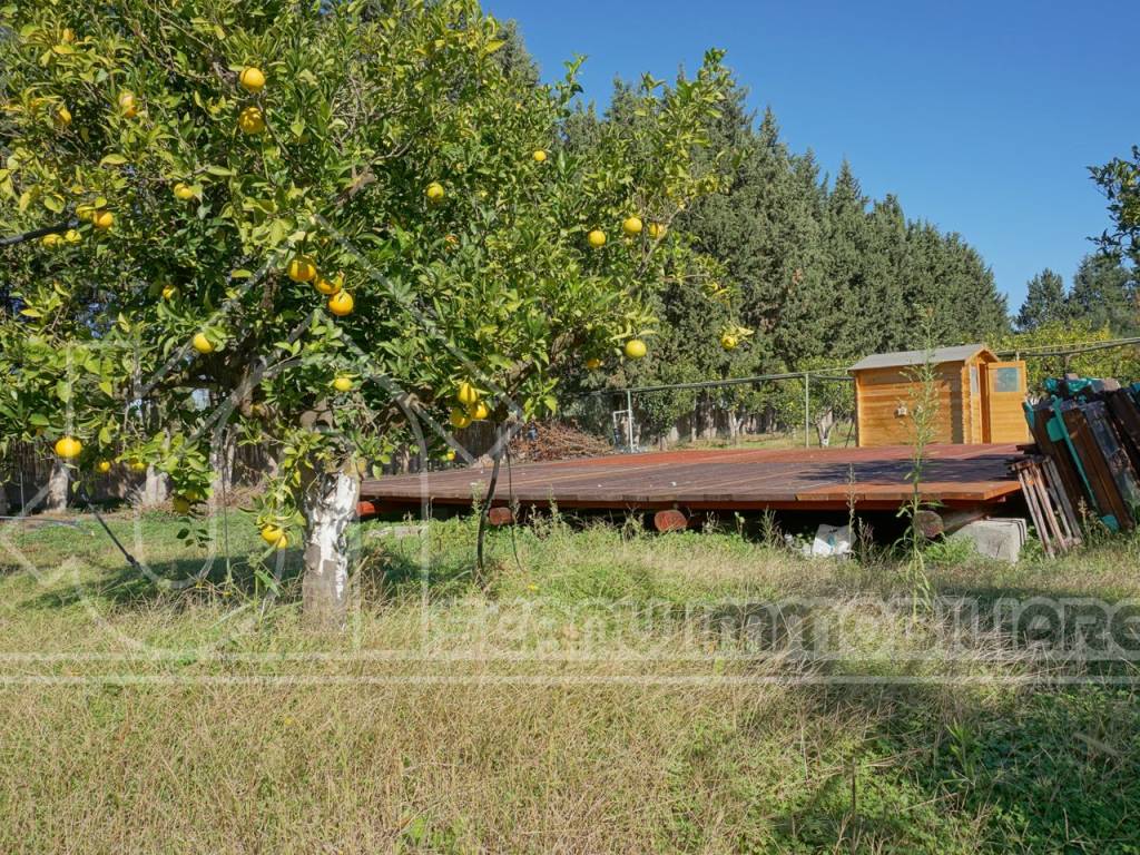 Terreno a Monastir in Strada Comunale Tuppa Cifraxiu - Foto 5