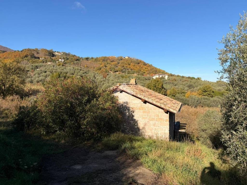 Rustico / casale a Soriano nel cimino in Contrada San Pietro, 132 - Foto 3