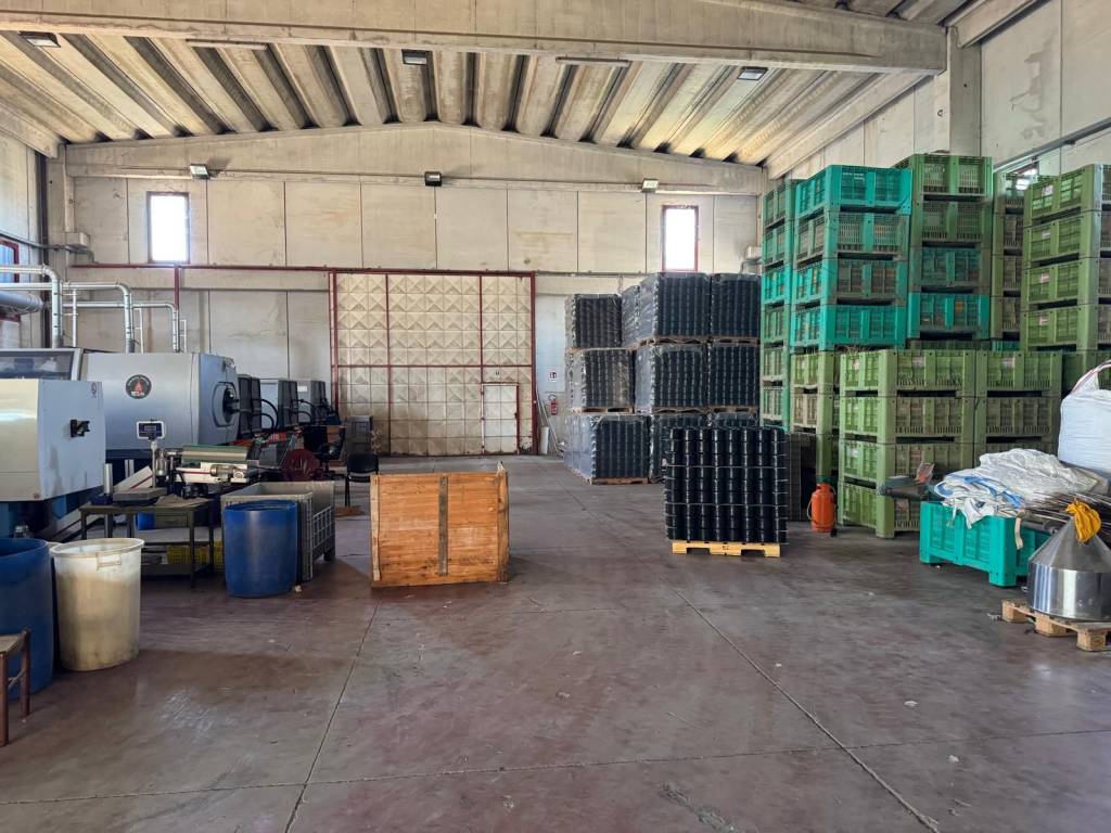Immobile a Battipaglia in Viale Giacomo Brodolini, 30 - Foto 5