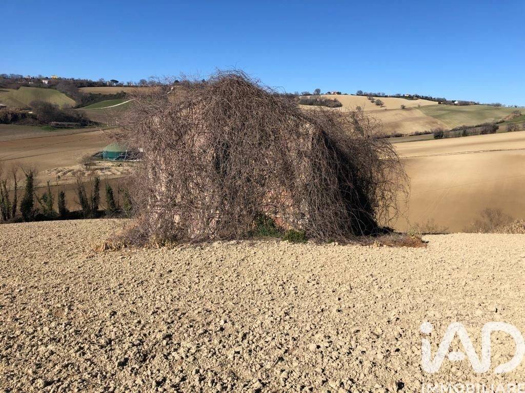Rustico / casale a Osimo in Via Striscioni, 40 - Foto 5