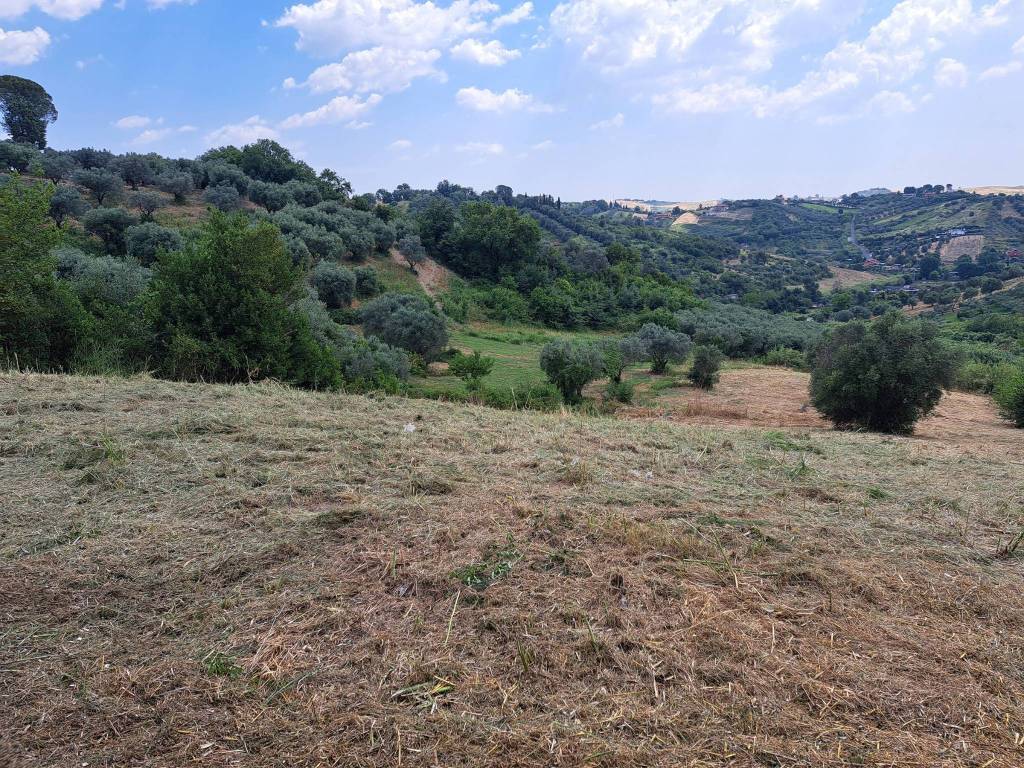 Terreno a Monterotondo in Via Antonio Gramsci - Foto 2