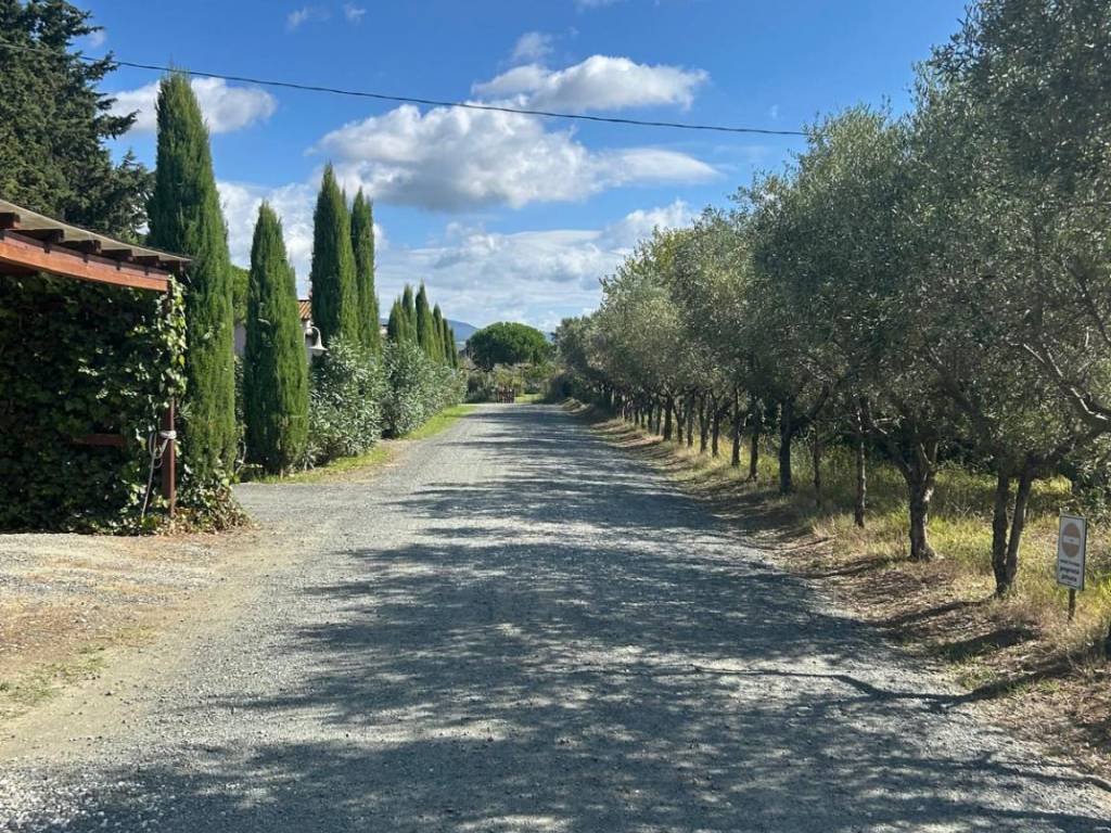 Appartamento a Cecina in Via Vecchia Livornese, 22 - Foto 4
