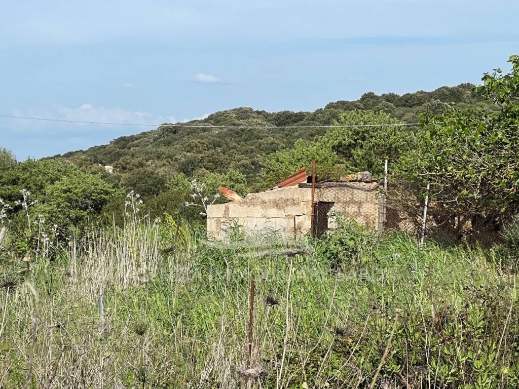 Terreno a Alghero - Foto 3