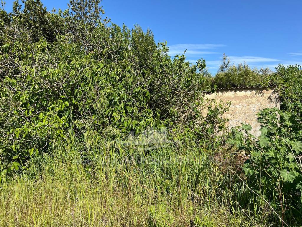 Terreno a Alghero - Foto 4