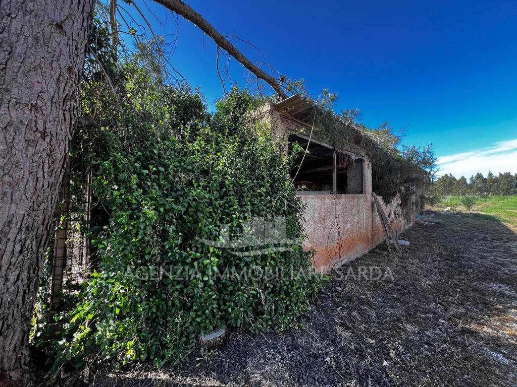 Terreno a Alghero - Foto 5