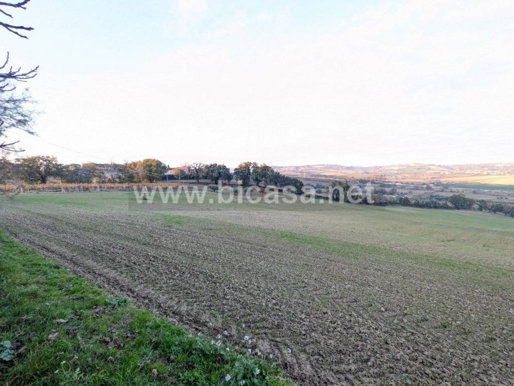 Rustico / casale a Pesaro - Foto 4