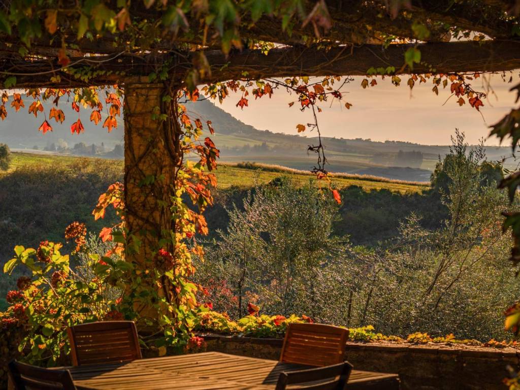 Rustico / casale a Castel del piano in Località Fondo del Lupo - Foto 4