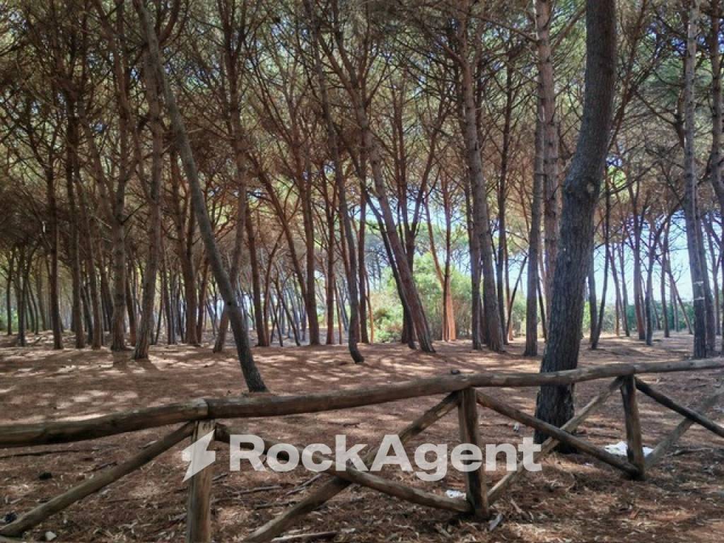 Immobile a Pizzo in Contrada Colamaio - Foto 4