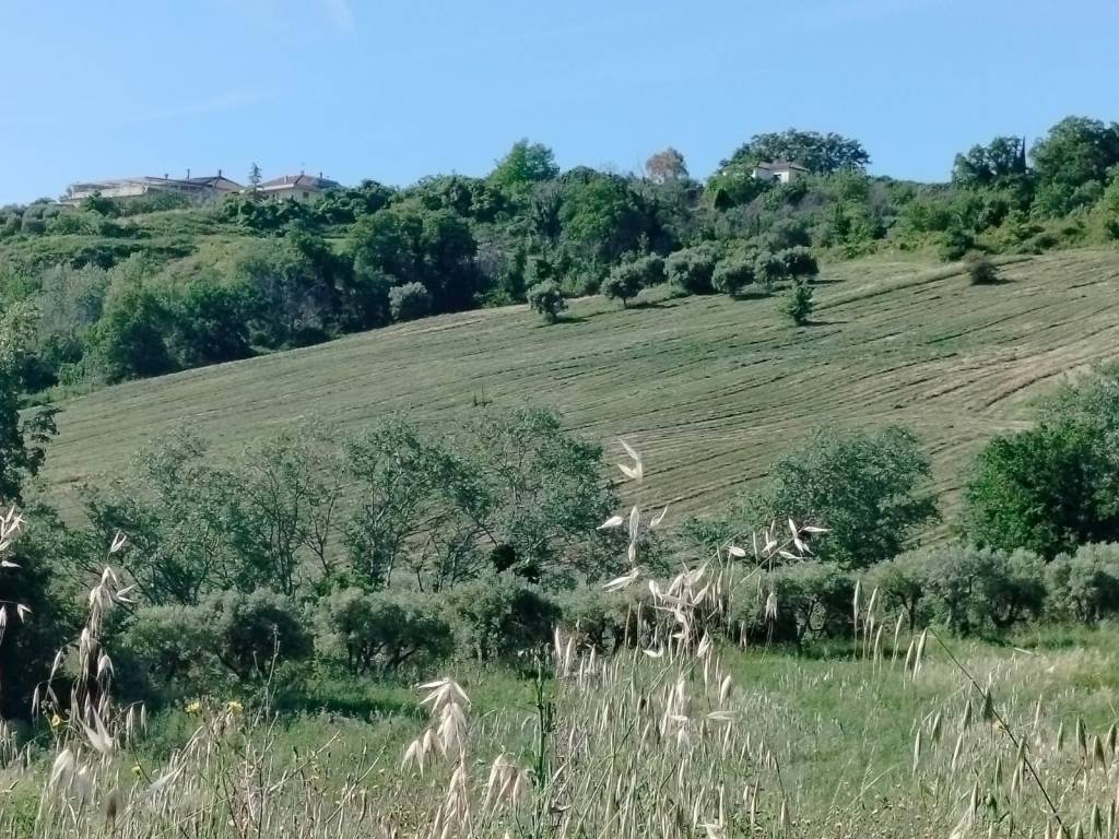 Rustico / casale a Castignano in Via Borgo Piave - Foto 2