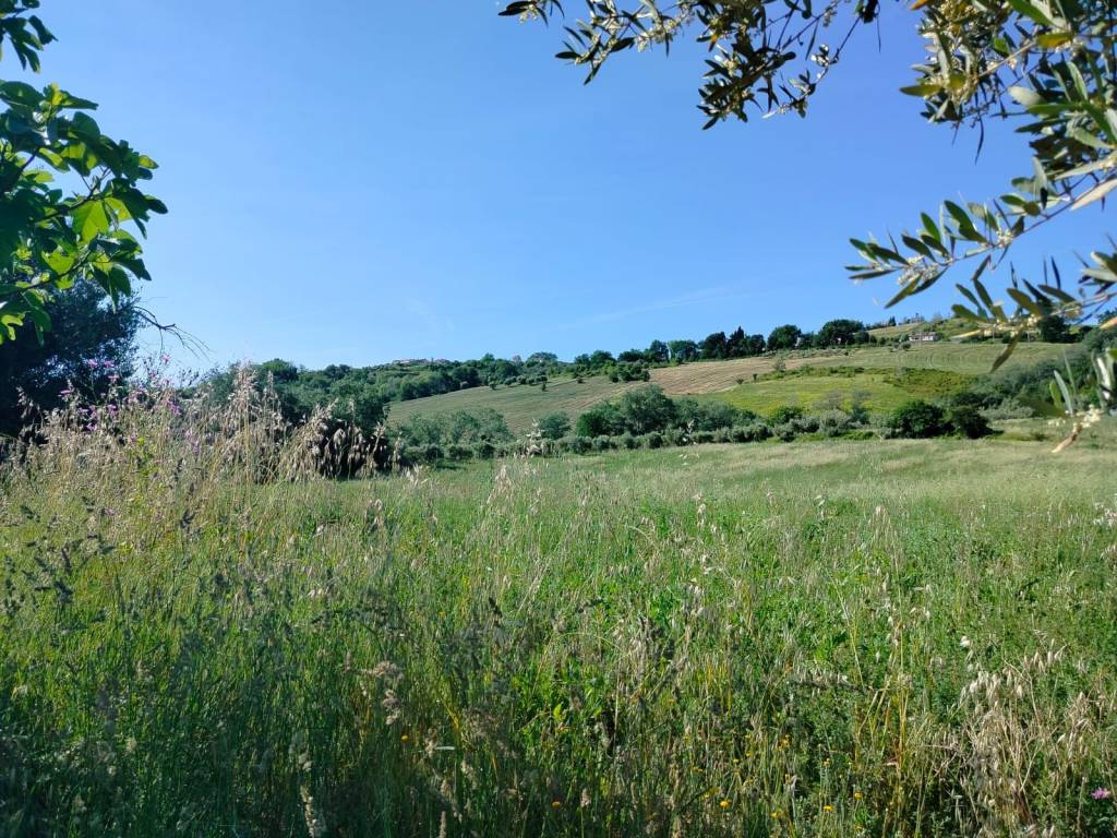 Rustico / casale a Castignano in Via Borgo Piave - Foto 3