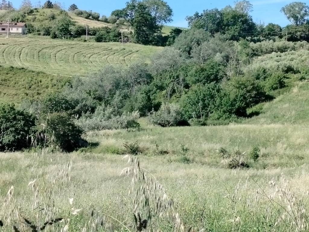Rustico / casale a Castignano in Via Borgo Piave - Foto 5