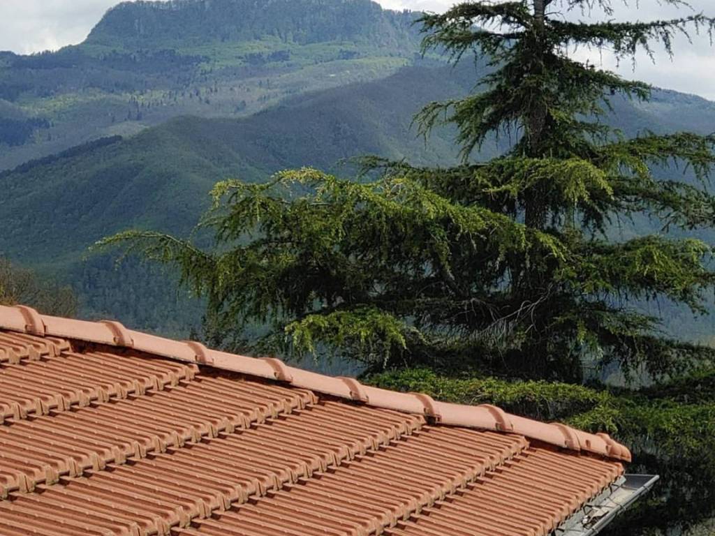 Appartamento a Chiusi della verna in LOC COREZZO, 52 - Foto 4