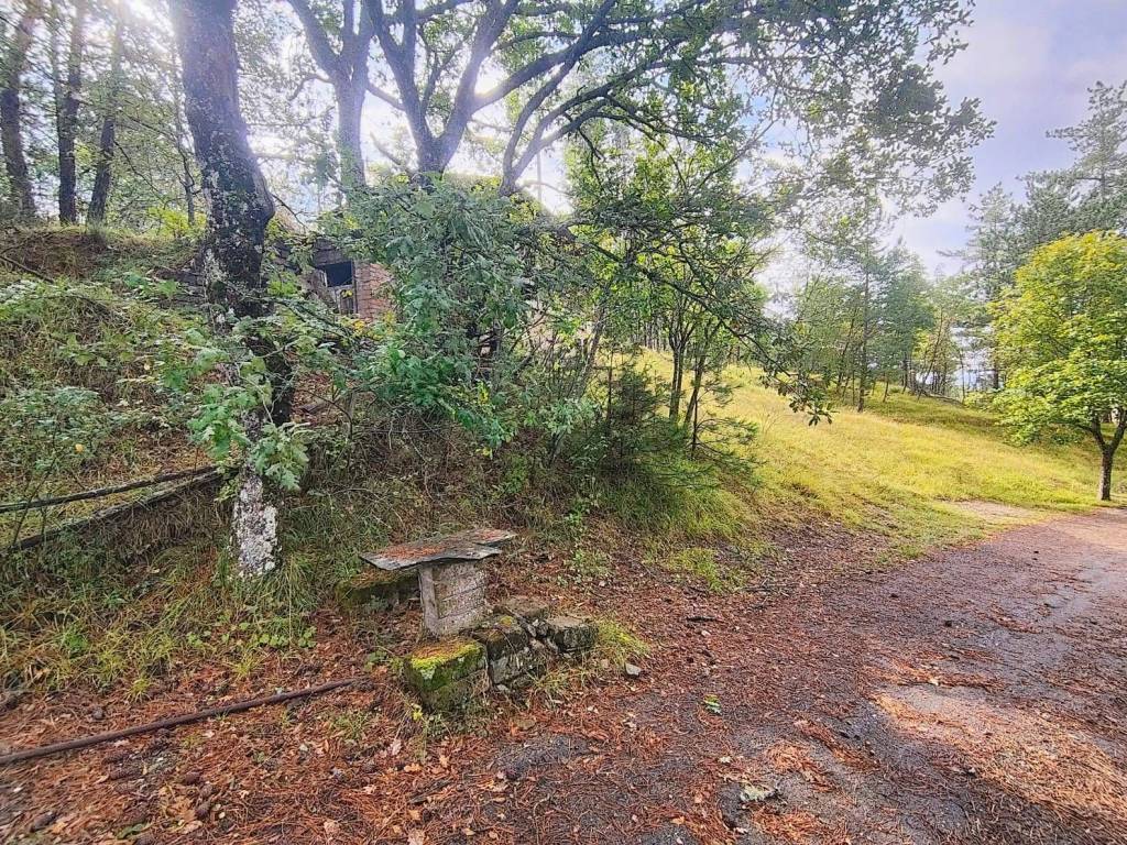 Terreno a Poppi in via del Corniolo, 6 - Foto 2
